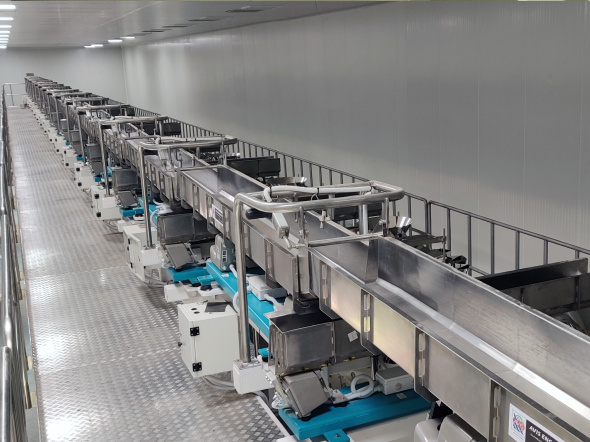 Avismatic Solutions Pvt. Ltd.